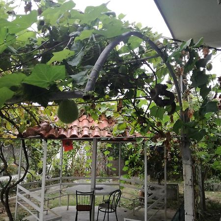 Villa Osmani Durres Ngoại thất bức ảnh